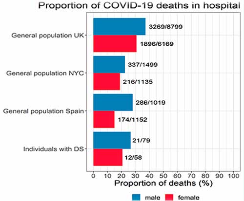 Fig. 4. Proporción de muertes por COVID-19 en el hospital, por sexos. De arriba abajo: Población general en Reino Unido, población general en la ciudad de Nueva York, población general en España, personas con síndrome de Down. Barras en azul: varones; en rojo: mujeres.