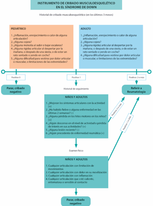 Fig. 1. Instrumento de cribado músculoesquelético.