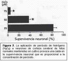 envejecimiento precoz de las personas con síndrome de Down