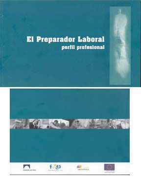 El reparador laboral: perfil profesional