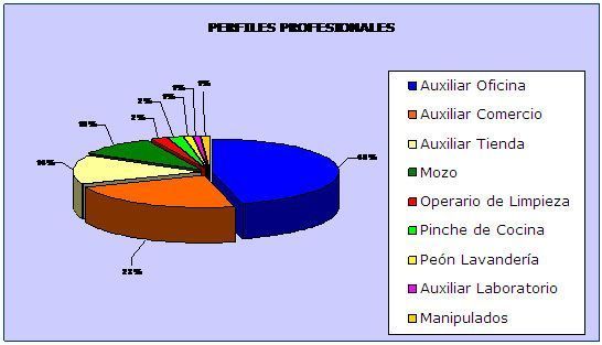 La integración laboral de las personas con discapacidad 2