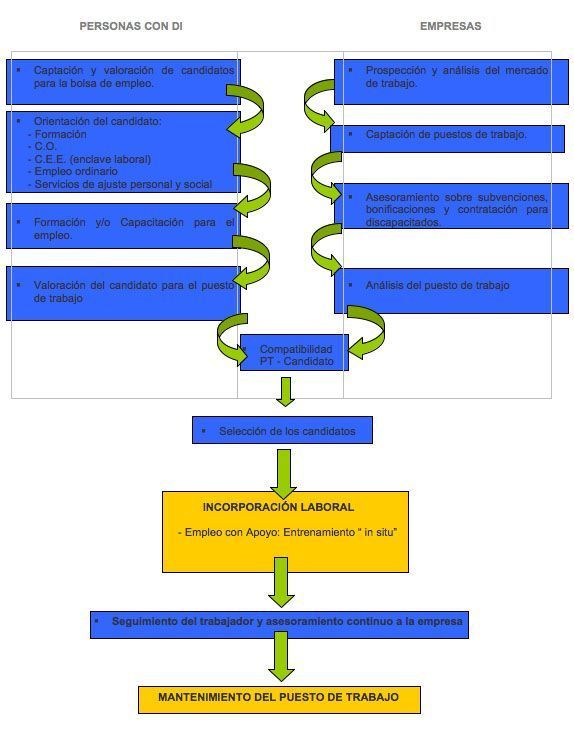 Síndrome de Down empleo con apoyo