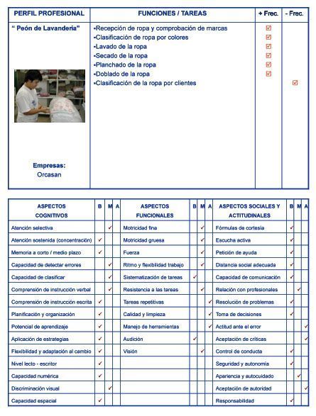 Tipos de trabajos a los que pueden acceder las personas con discapacidad intelectual