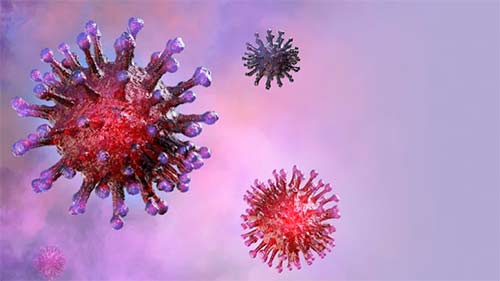 CORONAVIRUS COVID-19