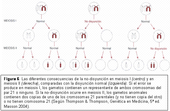 La no-disyunción Trisomia 21