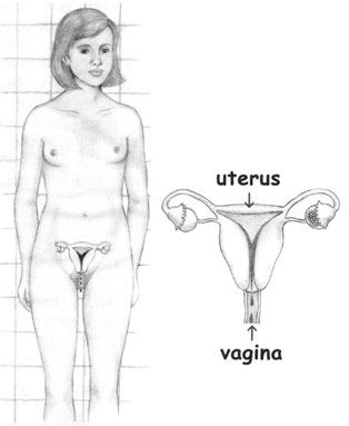 Síndrome de Down Menstruación