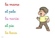 ficha 43