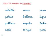 ficha 62